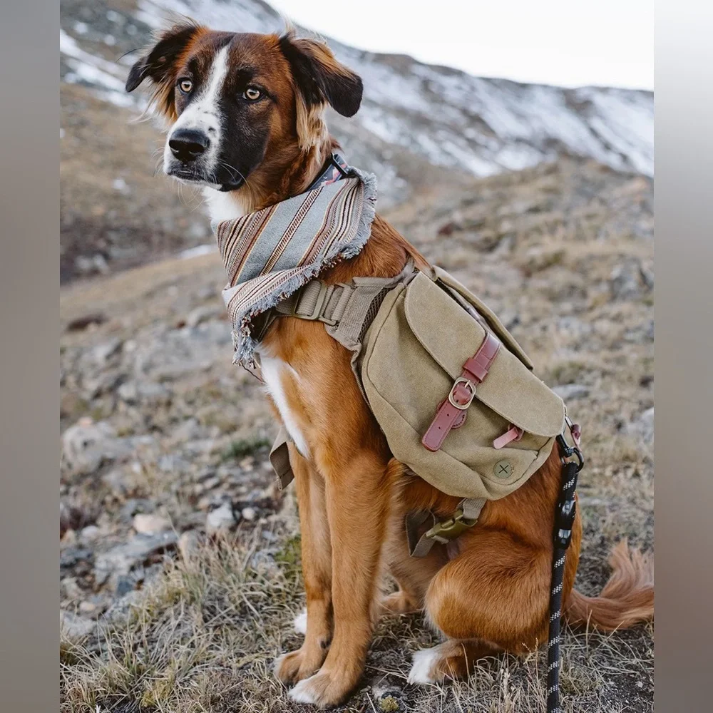 Wolf republic ranger dog backpack, medium